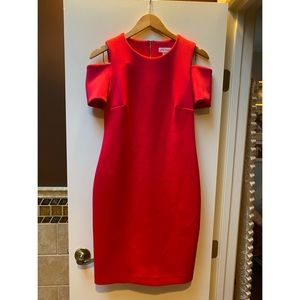 Calvin Klein Dress